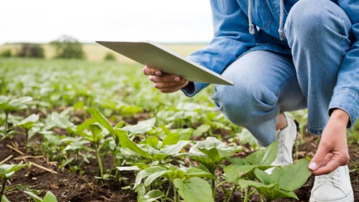 Agribusiness